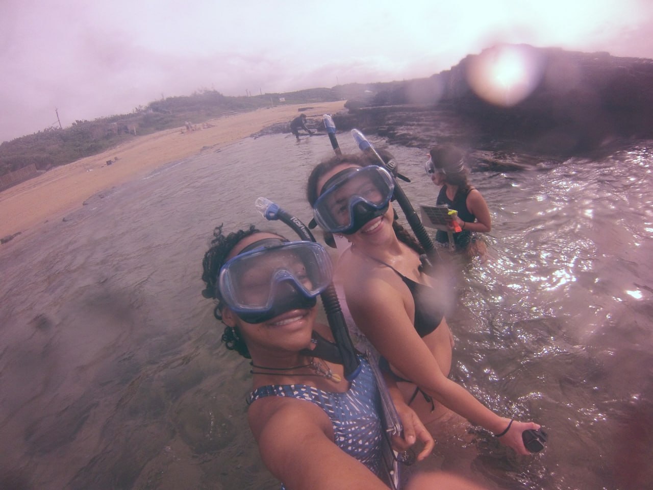 Interns in snorkel gear entering the water for a Green Point survey