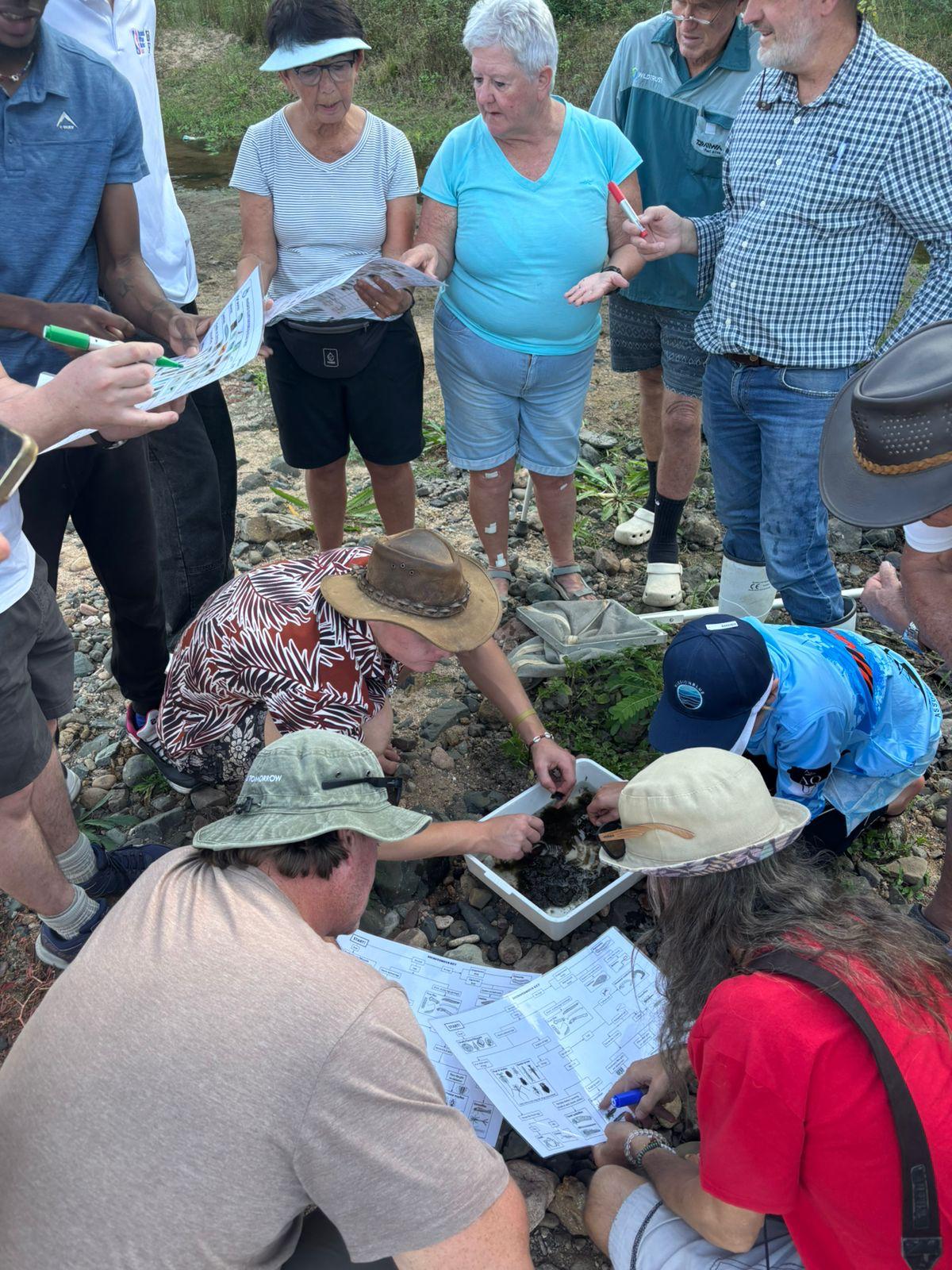 Participants sorting river invertebrate samples during a river monitoring workshop