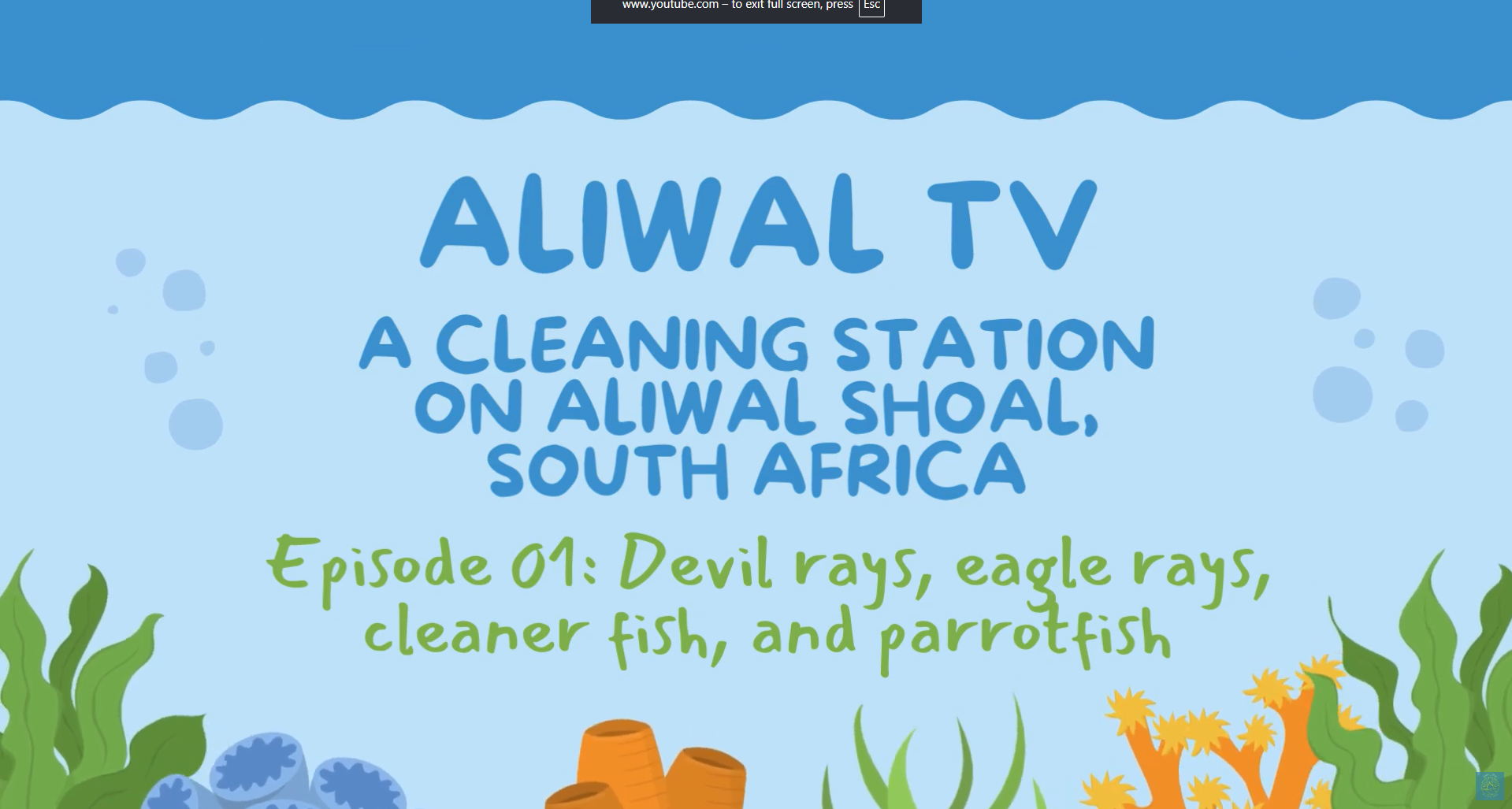 Aliwal TV episode title card about a cleaning station on Aliwal Shoal