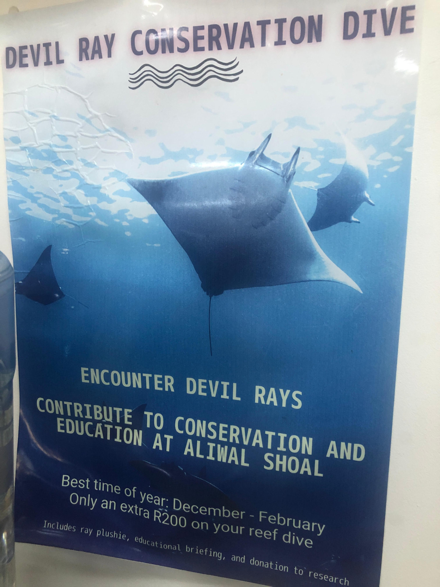 Devil Ray Conservation Dive poster for Aliwal Shoal